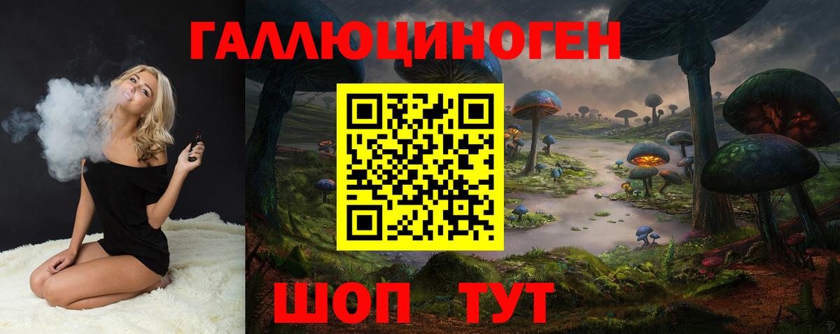 Галлюциногенные грибы Psilocybe Холмск
