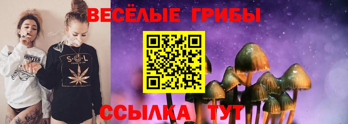 Псилоцибиновые грибы GOLDEN TEACHER  Вход с VPN  Холмск 